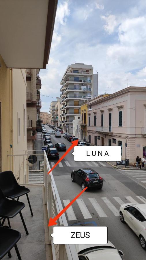 Zeus Apartment *